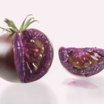 В Америке появятся фиолетовые помидоры
